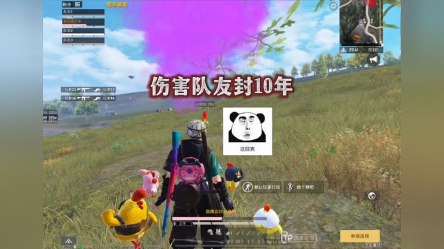 和平精英辅助【先行者直装V1.5】车辆透视 触摸自瞄 透视绘制 掩体漏击 人物美化